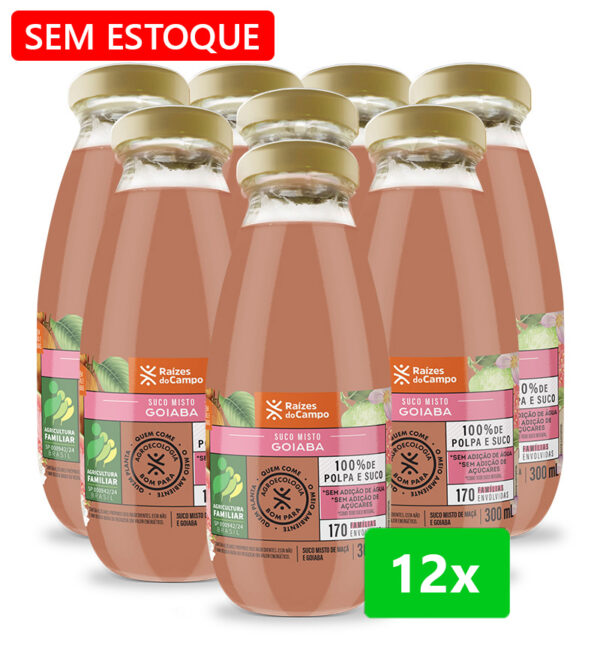 Suco de Goiaba e Maçã Integral 300ml (pack com 12)