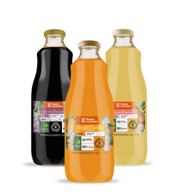 Suco Integral 1 Litro (Pack com 3 sabores variados - Uva, Maçã e Misto)